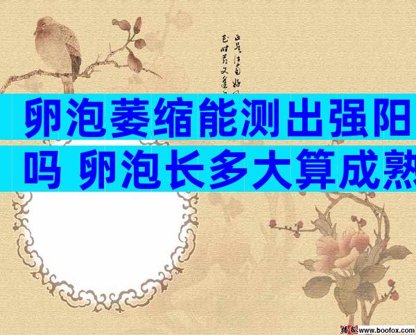 卵泡萎缩能测出强阳吗 卵泡长多大算成熟到脱落